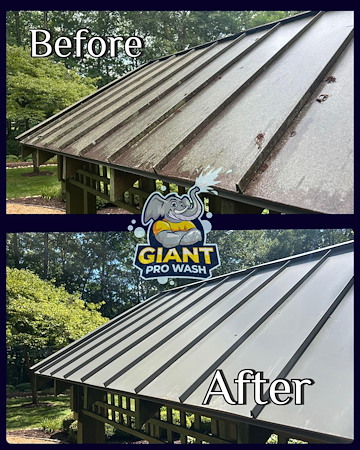 Why are black streaks on your roof a bigger problem than you think